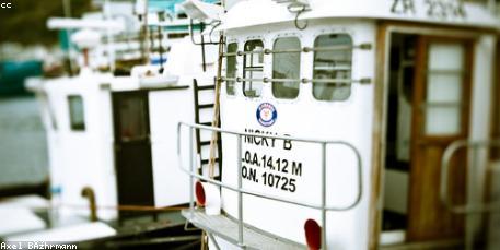 Trucks loading/unloading at Americold facility